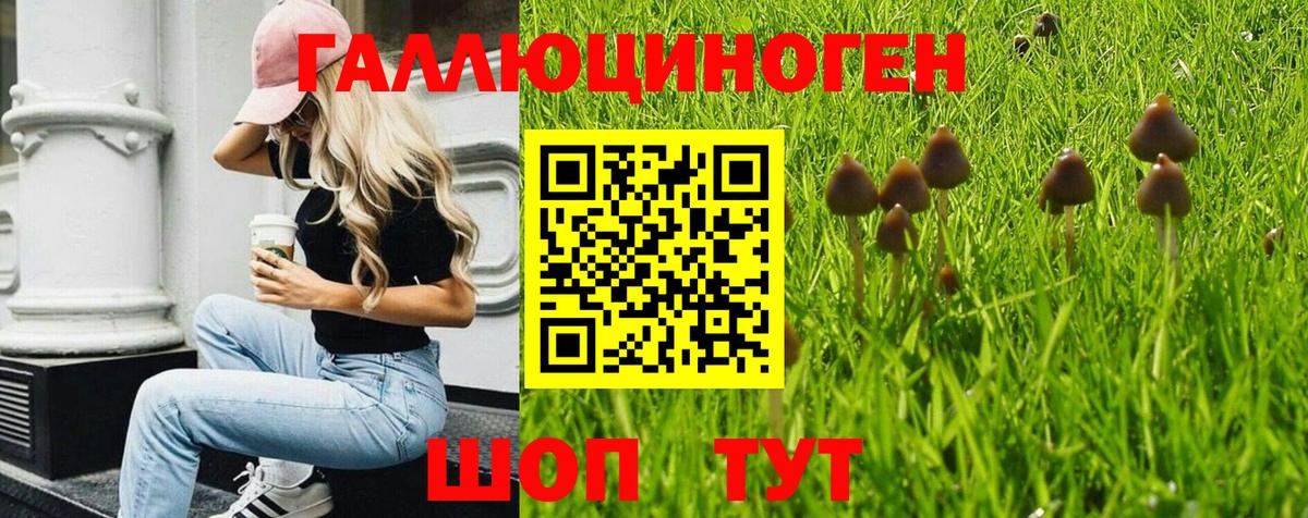 Галлюциногенные грибы мухоморы Алатырь