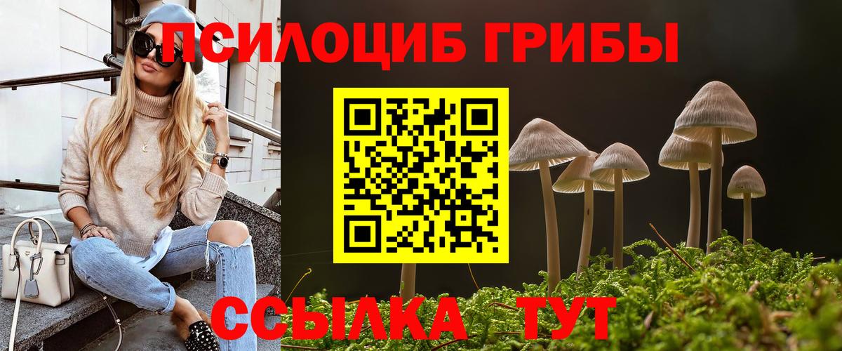 Псилоцибиновые грибы GOLDEN TEACHER  Галлюциногенные грибы мицелий  купить наркотик  Вход с VPN  Алатырь 